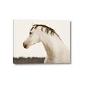 Picture of White Beauty _GroupedProduct_Rectangle_Landscape_Photography _GroupedProduct_Rectangle_Landscape_Canvas_