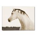 Picture of White Beauty _GroupedProduct_Rectangle_Landscape_Photography _GroupedProduct_Rectangle_Landscape_Canvas_