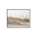 Picture of Seaside Grass _GroupedProduct_Rectangle_Landscape_Canvas_Framed_