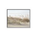 Picture of Seaside Grass _GroupedProduct_Rectangle_Landscape_Canvas_Framed_
