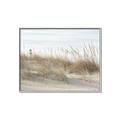 Picture of Seaside Grass _GroupedProduct_Rectangle_Landscape_Canvas_Framed_
