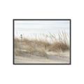 Picture of Seaside Grass _GroupedProduct_Rectangle_Landscape_Canvas_Framed_