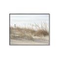 Picture of Seaside Grass _GroupedProduct_Rectangle_Landscape_Canvas_Framed_