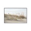 Picture of Seaside Grass _GroupedProduct_Rectangle_Landscape_Canvas_Framed_