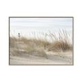 Picture of Seaside Grass _GroupedProduct_Rectangle_Landscape_Canvas_Framed_