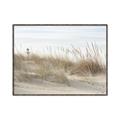 Picture of Seaside Grass _GroupedProduct_Rectangle_Landscape_Canvas_Framed_