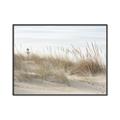 Picture of Seaside Grass _GroupedProduct_Rectangle_Landscape_Canvas_Framed_