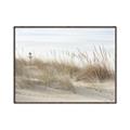 Picture of Seaside Grass _GroupedProduct_Rectangle_Landscape_Canvas_Framed_