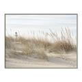 Picture of Seaside Grass _GroupedProduct_Rectangle_Landscape_Canvas_Framed_