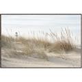 Picture of Seaside Grass _GroupedProduct_Rectangle_Landscape_Canvas_Framed_