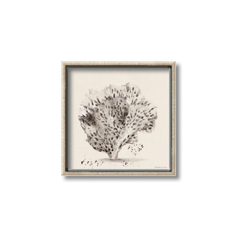 Picture of Coral Sketch II _GroupedProduct_Square_Canvas_Framed_