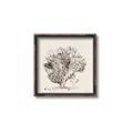 Picture of Coral Sketch II _GroupedProduct_Square_Canvas_Framed_