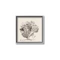 Picture of Coral Sketch II _GroupedProduct_Square_Canvas_Framed_