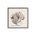 Picture of Coral Sketch II _GroupedProduct_Square_Canvas_Framed_