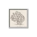 Picture of Coral Sketch I _GroupedProduct_Square_Canvas_Framed_