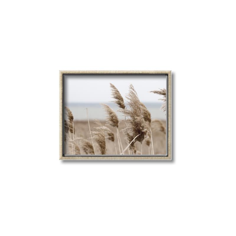 Picture of Windy Whisps _GroupedProduct_Rectangle_Landscape_Photography _GroupedProduct_Rectangle_Landscape_Canvas_Framed_