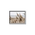 Picture of Windy Whisps _GroupedProduct_Rectangle_Landscape_Photography _GroupedProduct_Rectangle_Landscape_Canvas_Framed_