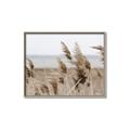 Picture of Windy Whisps _GroupedProduct_Rectangle_Landscape_Photography _GroupedProduct_Rectangle_Landscape_Canvas_Framed_