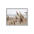 Picture of Windy Whisps _GroupedProduct_Rectangle_Landscape_Photography _GroupedProduct_Rectangle_Landscape_Canvas_Framed_