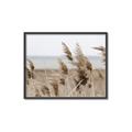 Picture of Windy Whisps _GroupedProduct_Rectangle_Landscape_Photography _GroupedProduct_Rectangle_Landscape_Canvas_Framed_