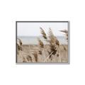 Picture of Windy Whisps _GroupedProduct_Rectangle_Landscape_Photography _GroupedProduct_Rectangle_Landscape_Canvas_Framed_