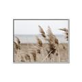 Picture of Windy Whisps _GroupedProduct_Rectangle_Landscape_Photography _GroupedProduct_Rectangle_Landscape_Canvas_Framed_