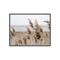 Picture of Windy Whisps _GroupedProduct_Rectangle_Landscape_Photography _GroupedProduct_Rectangle_Landscape_Canvas_Framed_
