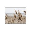 Picture of Windy Whisps _GroupedProduct_Rectangle_Landscape_Photography _GroupedProduct_Rectangle_Landscape_Canvas_Framed_