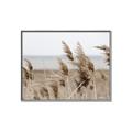 Picture of Windy Whisps _GroupedProduct_Rectangle_Landscape_Photography _GroupedProduct_Rectangle_Landscape_Canvas_Framed_