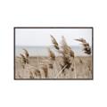 Picture of Windy Whisps _GroupedProduct_Rectangle_Landscape_Photography _GroupedProduct_Rectangle_Landscape_Canvas_Framed_