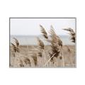 Picture of Windy Whisps _GroupedProduct_Rectangle_Landscape_Photography _GroupedProduct_Rectangle_Landscape_Canvas_Framed_