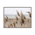 Picture of Windy Whisps _GroupedProduct_Rectangle_Landscape_Photography _GroupedProduct_Rectangle_Landscape_Canvas_Framed_