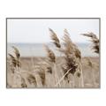 Picture of Windy Whisps _GroupedProduct_Rectangle_Landscape_Photography _GroupedProduct_Rectangle_Landscape_Canvas_Framed_