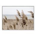 Picture of Windy Whisps _GroupedProduct_Rectangle_Landscape_Photography _GroupedProduct_Rectangle_Landscape_Canvas_Framed_