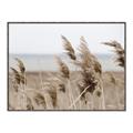 Picture of Windy Whisps _GroupedProduct_Rectangle_Landscape_Photography _GroupedProduct_Rectangle_Landscape_Canvas_Framed_