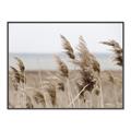 Picture of Windy Whisps _GroupedProduct_Rectangle_Landscape_Photography _GroupedProduct_Rectangle_Landscape_Canvas_Framed_