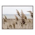 Picture of Windy Whisps _GroupedProduct_Rectangle_Landscape_Photography _GroupedProduct_Rectangle_Landscape_Canvas_Framed_