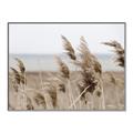 Picture of Windy Whisps _GroupedProduct_Rectangle_Landscape_Photography _GroupedProduct_Rectangle_Landscape_Canvas_Framed_