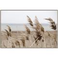 Picture of Windy Whisps _GroupedProduct_Rectangle_Landscape_Photography _GroupedProduct_Rectangle_Landscape_Canvas_Framed_