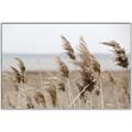 Picture of Windy Whisps _GroupedProduct_Rectangle_Landscape_Photography _GroupedProduct_Rectangle_Landscape_Canvas_Framed_