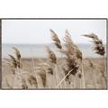 Picture of Windy Whisps _GroupedProduct_Rectangle_Landscape_Photography _GroupedProduct_Rectangle_Landscape_Canvas_Framed_