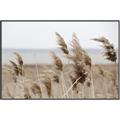 Picture of Windy Whisps _GroupedProduct_Rectangle_Landscape_Photography _GroupedProduct_Rectangle_Landscape_Canvas_Framed_