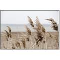 Picture of Windy Whisps _GroupedProduct_Rectangle_Landscape_Photography _GroupedProduct_Rectangle_Landscape_Canvas_Framed_