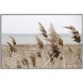 Picture of Windy Whisps _GroupedProduct_Rectangle_Landscape_Photography _GroupedProduct_Rectangle_Landscape_Canvas_Framed_