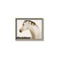 Picture of White Beauty _GroupedProduct_Rectangle_Landscape_Photography _GroupedProduct_Rectangle_Landscape_Canvas_Framed_