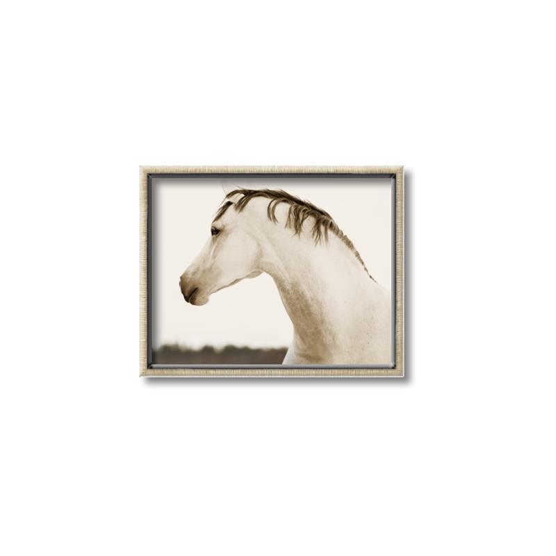 Picture of White Beauty _GroupedProduct_Rectangle_Landscape_Photography _GroupedProduct_Rectangle_Landscape_Canvas_Framed_