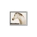 Picture of White Beauty _GroupedProduct_Rectangle_Landscape_Photography _GroupedProduct_Rectangle_Landscape_Canvas_Framed_