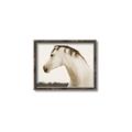 Picture of White Beauty _GroupedProduct_Rectangle_Landscape_Photography _GroupedProduct_Rectangle_Landscape_Canvas_Framed_