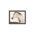 Picture of White Beauty _GroupedProduct_Rectangle_Landscape_Photography _GroupedProduct_Rectangle_Landscape_Canvas_Framed_