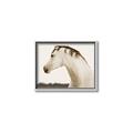 Picture of White Beauty _GroupedProduct_Rectangle_Landscape_Photography _GroupedProduct_Rectangle_Landscape_Canvas_Framed_